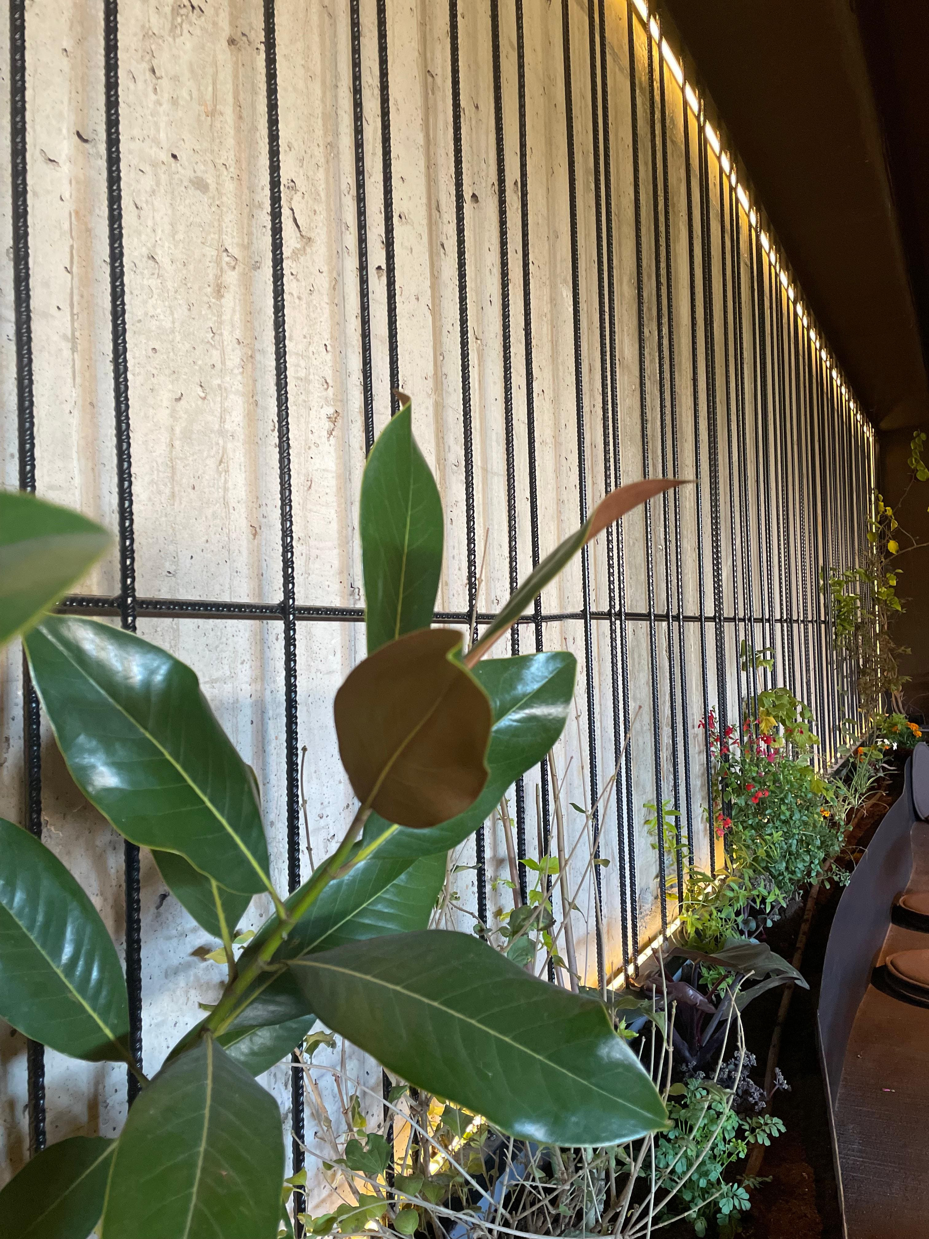 Proyecto Fango - foto 11