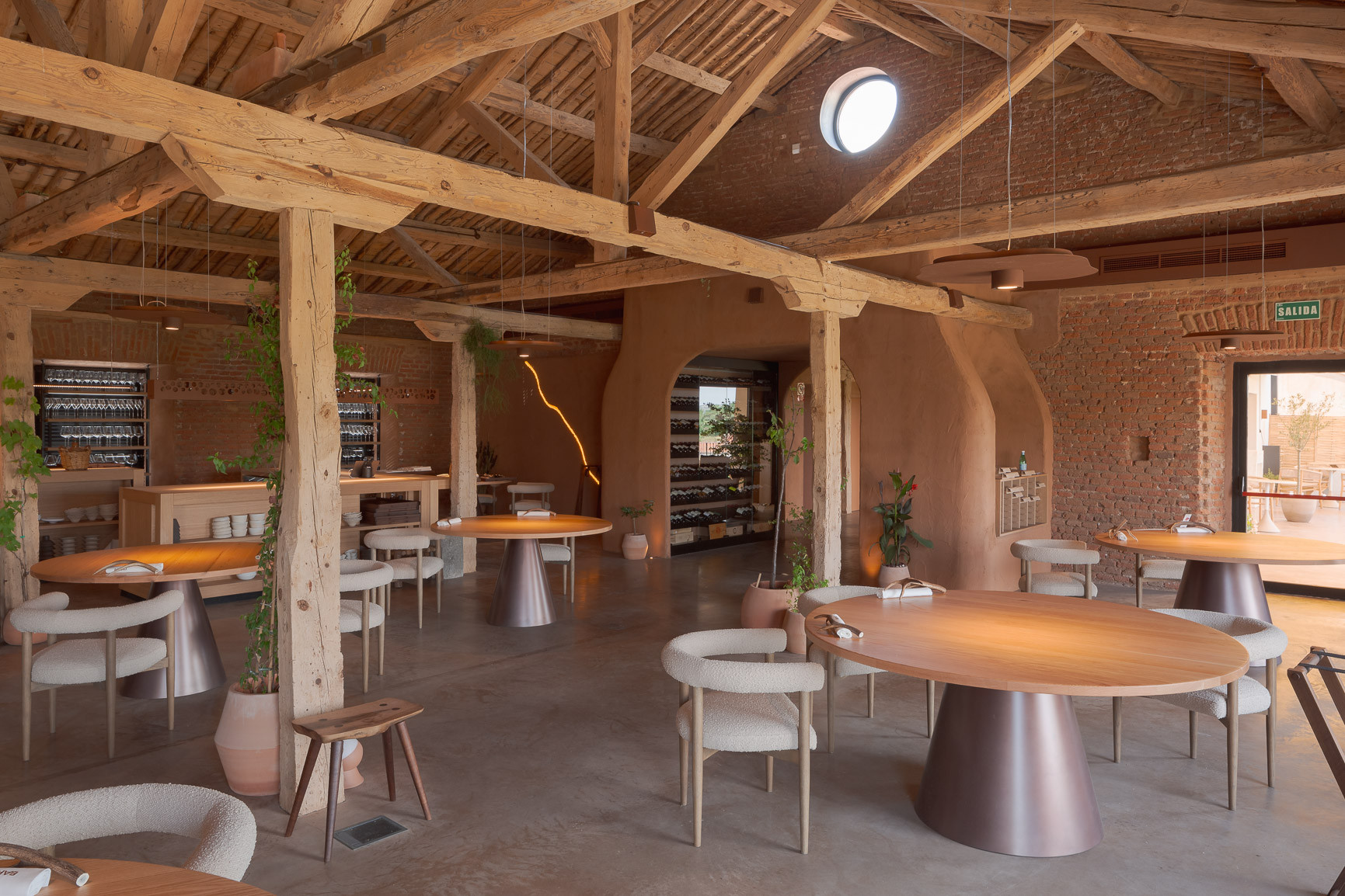 Proyecto Barro - foto 21