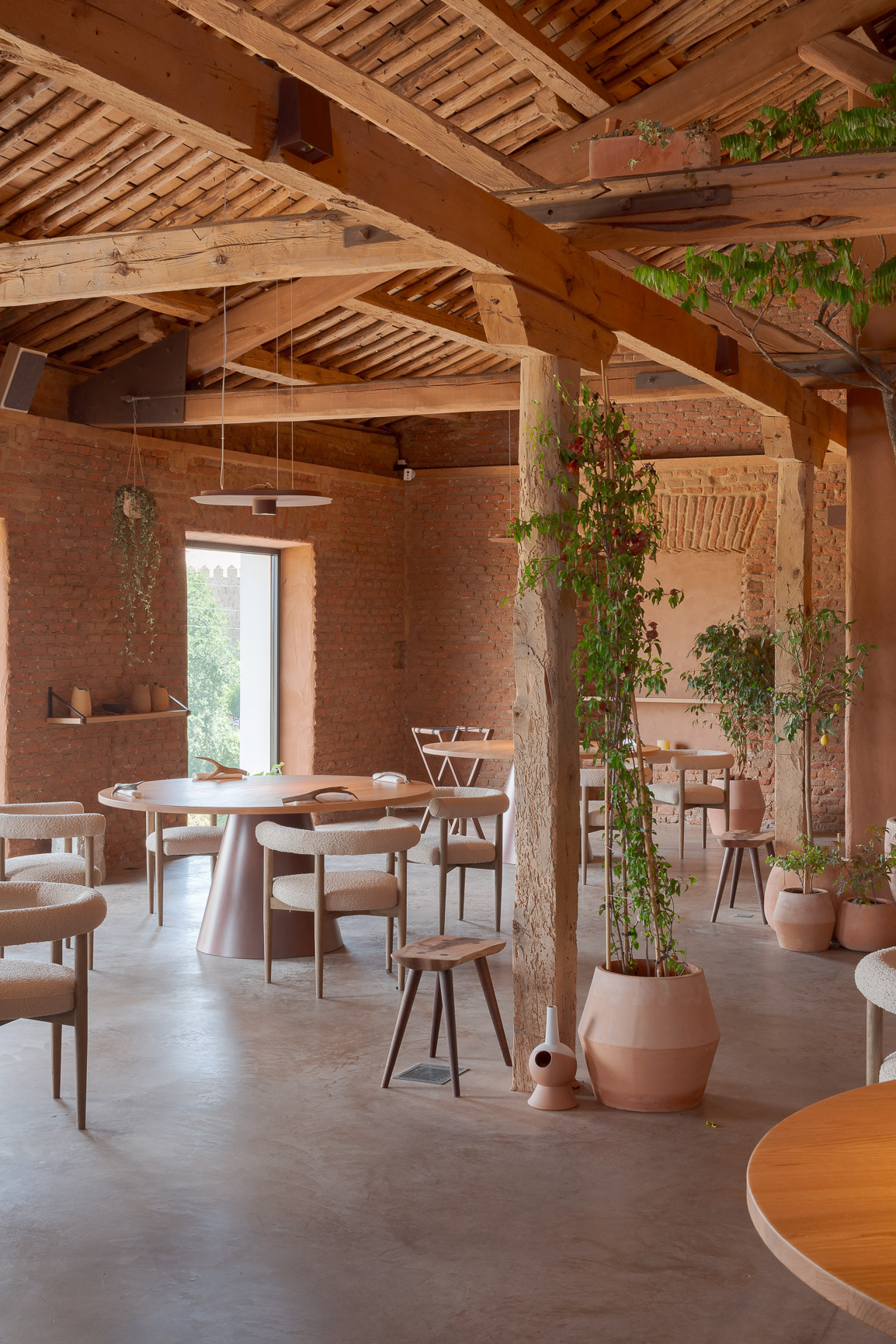 Proyecto Barro - foto 15